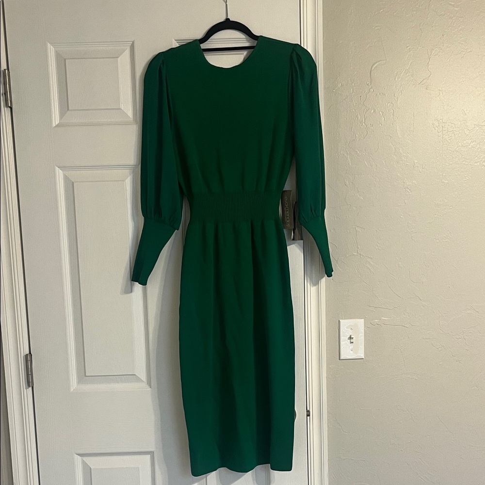 🆕 New York & Company Eva Mendes Emerald Green Long-Sleeve Midi Dress